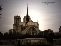 Parigi - Notre Dame 1