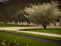 Parigi - Jardin des plantes