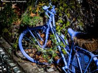 Blue bike